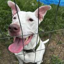 Thumbnail photo of Ravenna #3