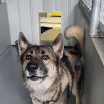 Thumbnail photo of Pal #3