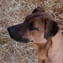 Thumbnail photo of Livia #2