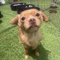 Thumbnail photo of Bubbles #2