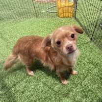 Thumbnail photo of Bubbles #3