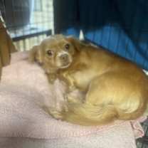 Thumbnail photo of Bubbles #4