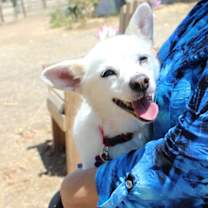 Thumbnail photo of Frosty #3