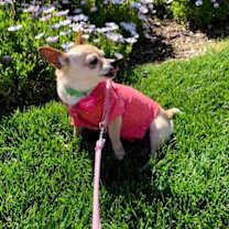 Thumbnail photo of Leah #2
