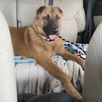 Thumbnail photo of Murphy #4