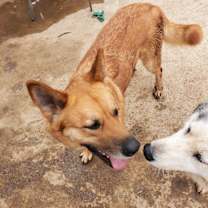 Thumbnail photo of Georgia #3