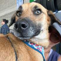 Thumbnail photo of Balu #3