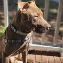 Thumbnail photo of Ducky #4