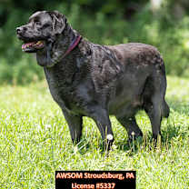 Thumbnail photo of Lady #3