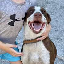 Thumbnail photo of Scout #2