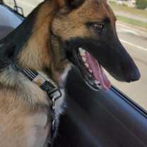 Thumbnail photo of Patti #2