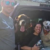 Thumbnail photo of Chewy & Brody - Bonded Seniors #3