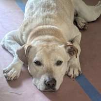 Thumbnail photo of Tucker #2