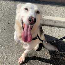 Thumbnail photo of Mabel #1