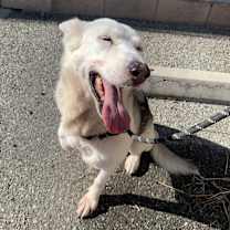 Thumbnail photo of Mabel #2