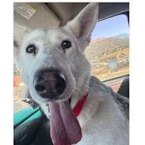 Thumbnail photo of Mabel #3