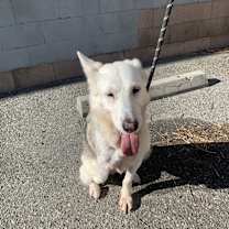 Thumbnail photo of Mabel #4