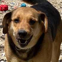 Thumbnail photo of GENESIS  (Jenny) #4