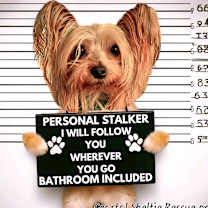 Thumbnail photo of Minnie #3