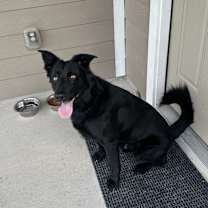 Thumbnail photo of Otis #1