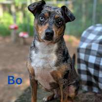 Thumbnail photo of BO #4