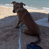 Thumbnail photo of Twitch #2