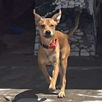 Thumbnail photo of Twitch #4