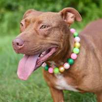 Thumbnail photo of Isabella #3