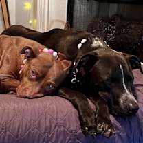 Thumbnail photo of Isabella #4