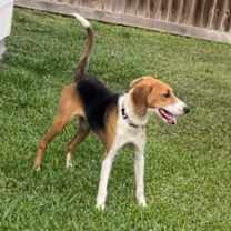 Thumbnail photo of Wrenley #1