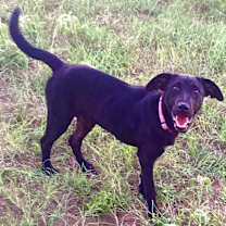 Thumbnail photo of Lydia #2