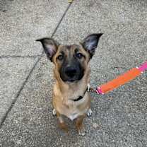 Thumbnail photo of Deeva #1