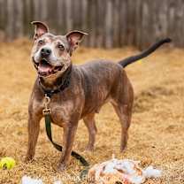 Thumbnail photo of Scoop #4