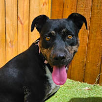 Thumbnail photo of Ursula TW #1