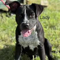 Thumbnail photo of Lady #1