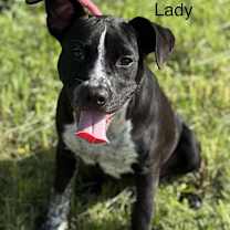 Thumbnail photo of Lady #3