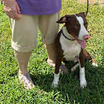 Thumbnail photo of Rusty #4