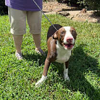 Thumbnail photo of Rusty #1