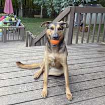 Thumbnail photo of Lizzie #3