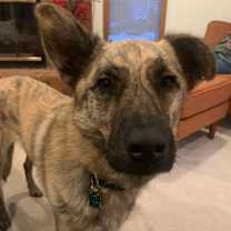 Thumbnail photo of Lou #2