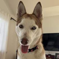 Thumbnail photo of Mia CP #2