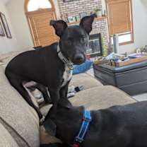 Thumbnail photo of Mary #1