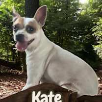 Thumbnail photo of Kate #2