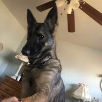 Thumbnail photo of Rayne #2