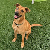 Thumbnail photo of Jonas #2