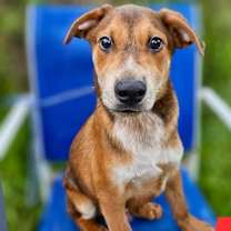 Thumbnail photo of Lucky #4