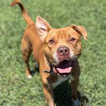 Thumbnail photo of 181016 Seven #1