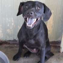 Thumbnail photo of Wanda #1