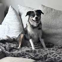 Thumbnail photo of Evee petite perfection in every way #2