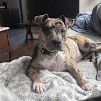 Thumbnail photo of Evee petite perfection in every way #4